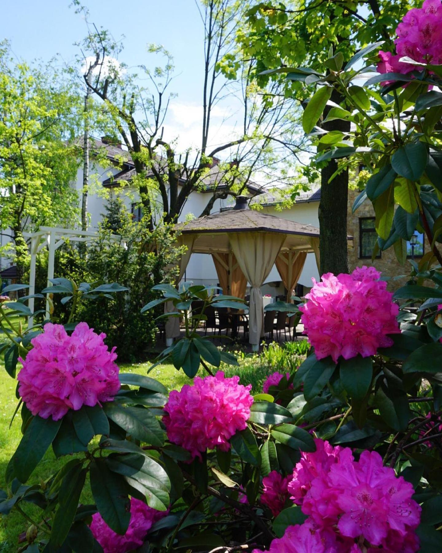 Hotel Victoria Олкуш Екстериор снимка